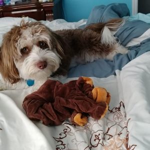 Meet your Posher, Debbie